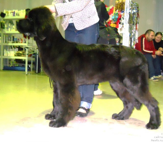 Фотография № 53725