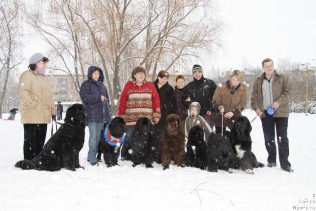 Фото: Ольга Ожгибесова, ньюфаундленд Блэк Диамонд Агидель от Потапа Стэсси, Алевтина Батян, ньюфаундленд Блэк Диамонд Агидель от Потапа Патриция (Black Diamond Agidel ot Potapa Patricia), Ирина Габова, ньюфаундленд Акватория Келвин Зазноба (Aquatoriya Kelvin Zaznoba), Наталья Гостюхина, ньюфаундленд Кокетка от Чаннел из Медвежьего Яра, Ирина Нистратова, Алексей Нистратов, ньюфаундленд Их Высочество Владлена Маджикс, Виталий Перевышин, ньюфаундленд Большая Удача, ньюфаундленд Блестящая Брина