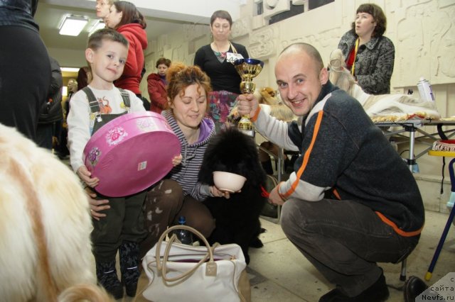 Фото: ньюфаундленд Их Высочество Владлена Маджикс, Алексей Нистратов, Ирина Нистратова