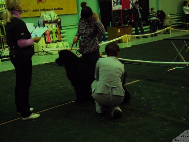 Фотография № 53736