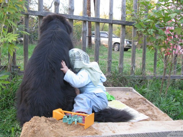 Фото: Яна Савченко