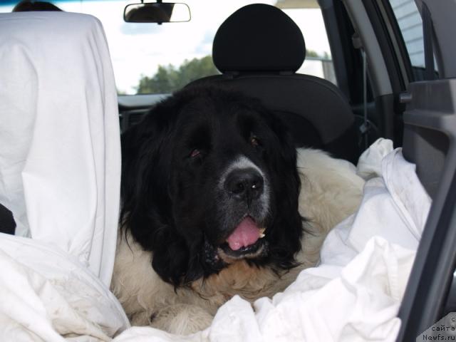 Фото: Алексей Зарх