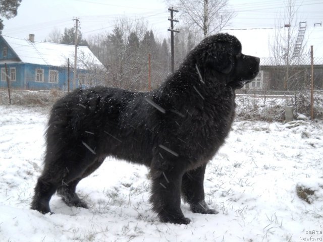 Фотография № 53790