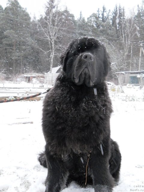 Фотография № 53793