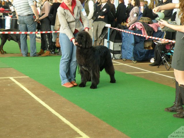 Фотография № 53815