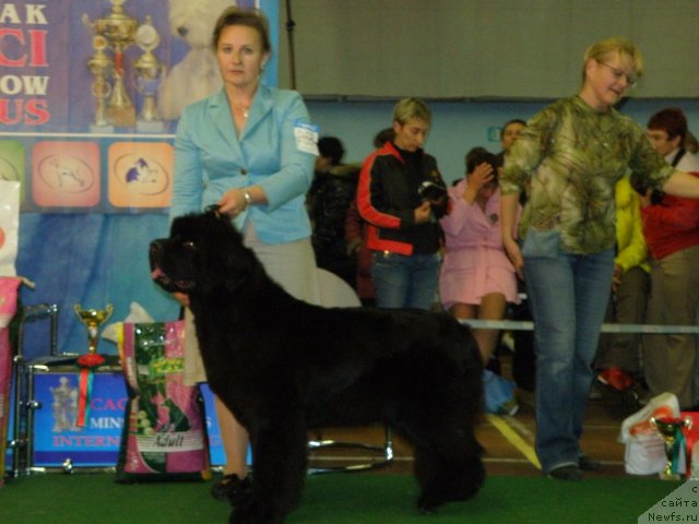 Фотография № 53817