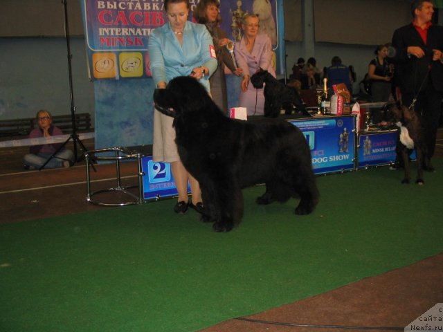 Фотография № 53819