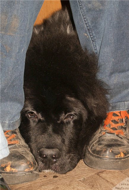 Фотография № 53829