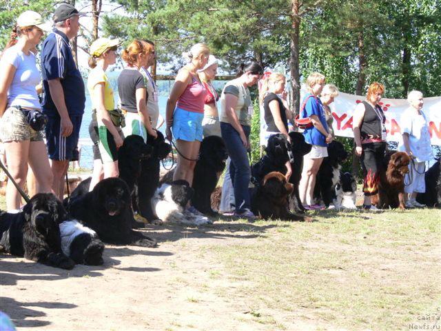 Фото: ньюфаундленд О Блек Диамонд Литтл Беар (O Black Diamond Little Bear), Андрей Ивашов