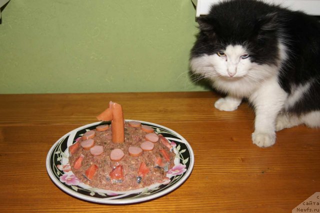 Фотография № 53861