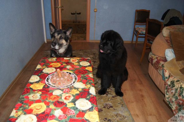 Фотография № 53862