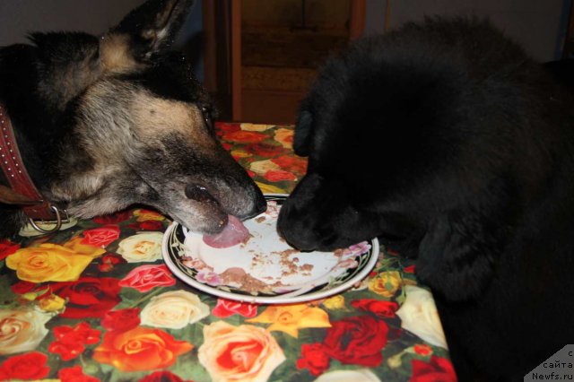 Фотография № 53864