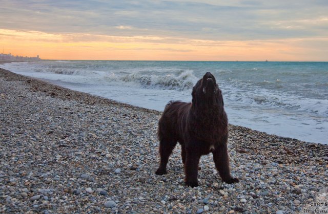 Фотография № 53866