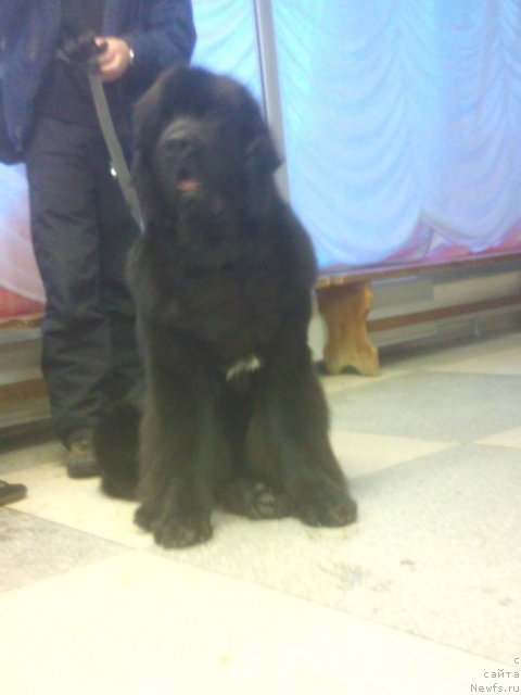 Фотография № 53939