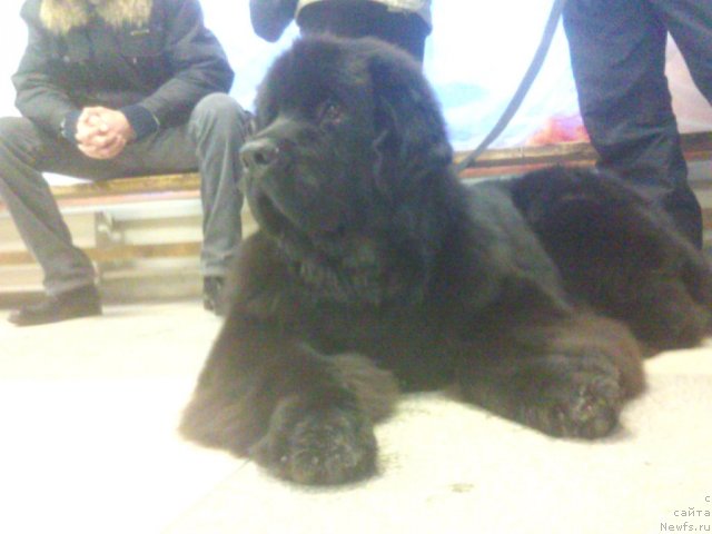 Фотография № 53942