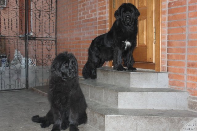 Фотография № 53959