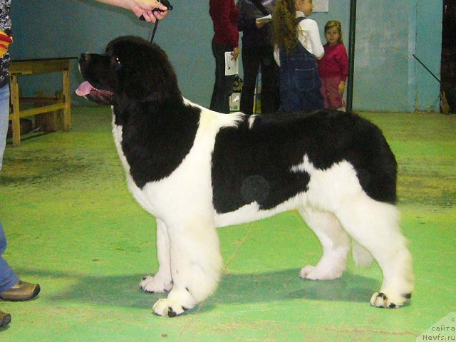 Фотография № 53968