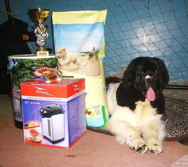 Фотография № 53969