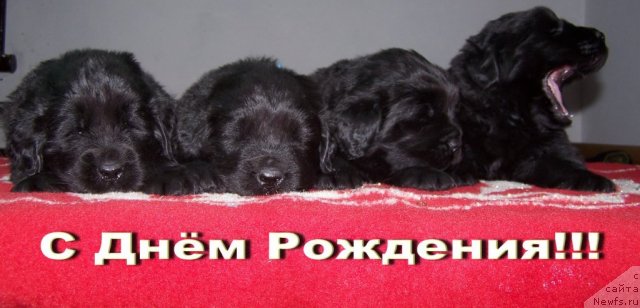 Фотография № 53988