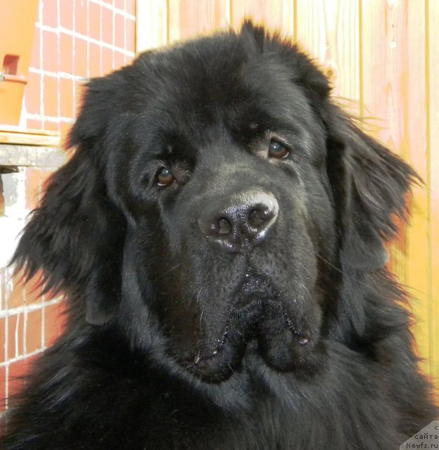 Фотография № 53989