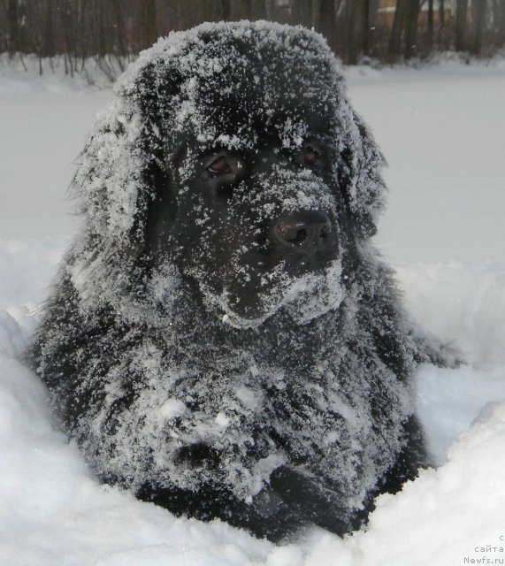 Фотография № 53996