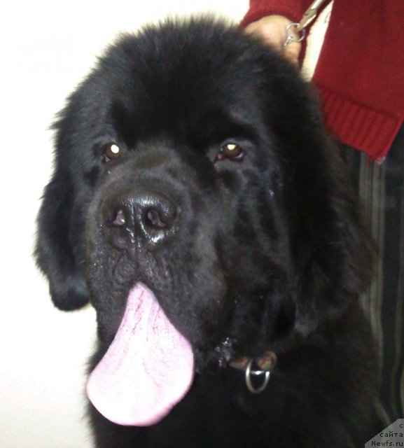 Фотография № 54014