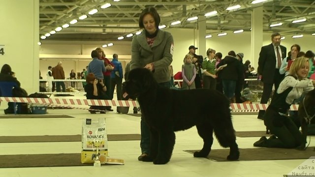 Фотография № 54024