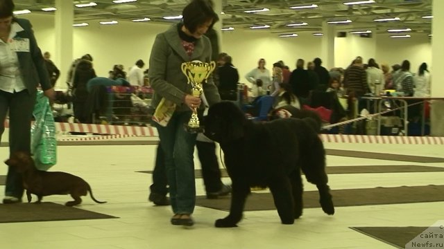 Фотография № 54027