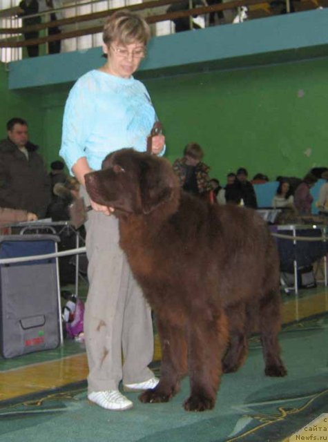 Фотография № 54030