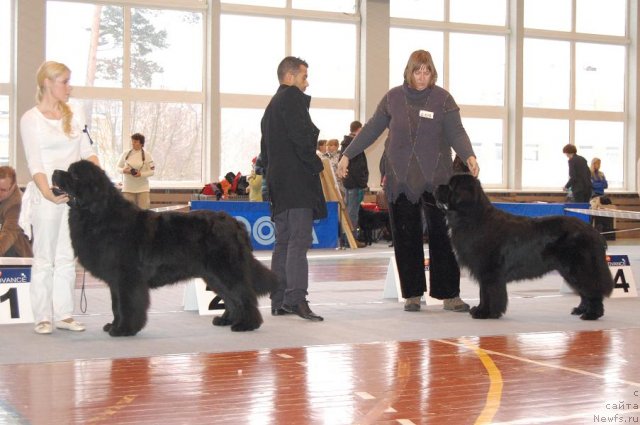 Фотография № 54031