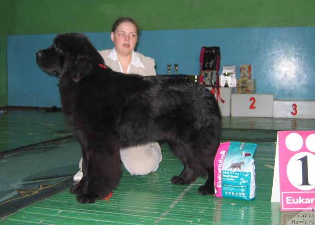 Фотография № 54032