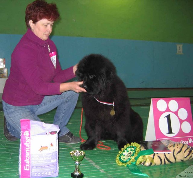 Фотография № 54034