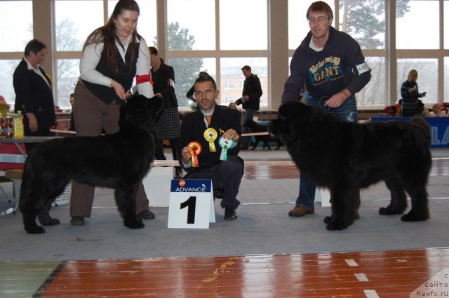 Фотография № 54038