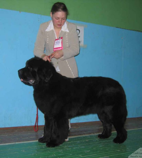 Фотография № 54044