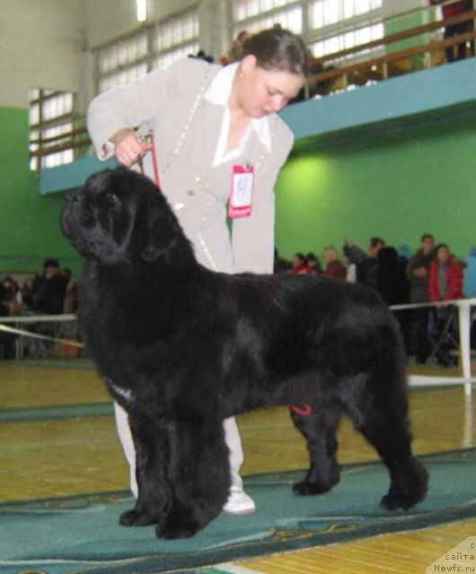 Фотография № 54045