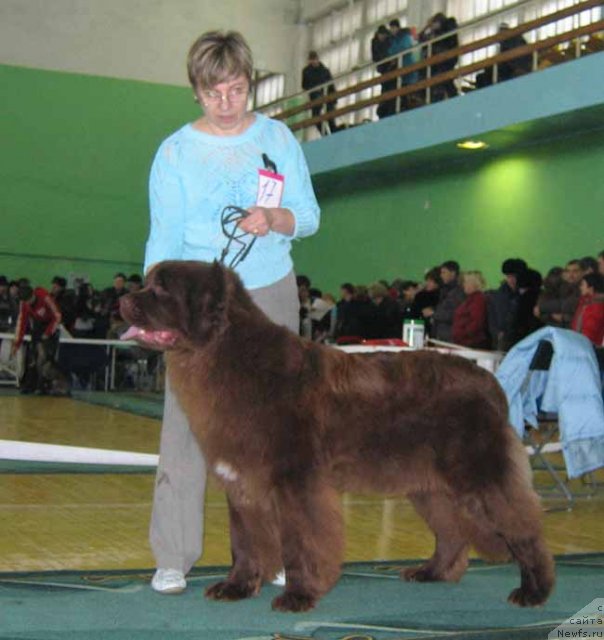 Фотография № 54047