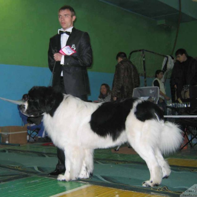 Фотография № 54049