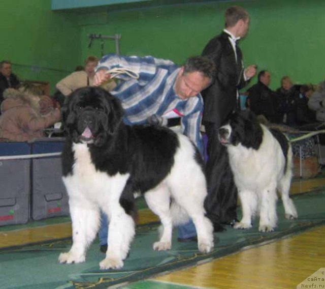 Фотография № 54050