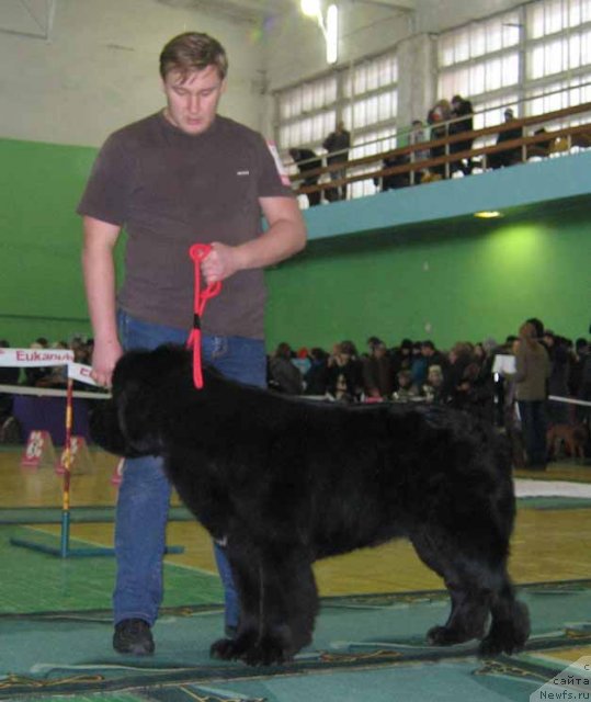 Фотография № 54052