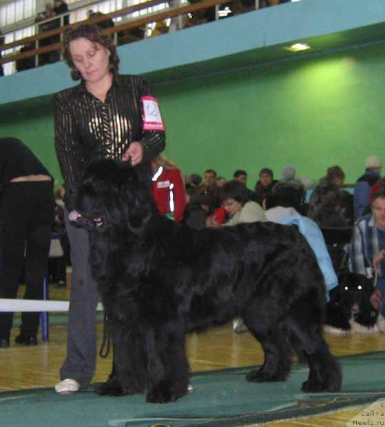 Фотография № 54055