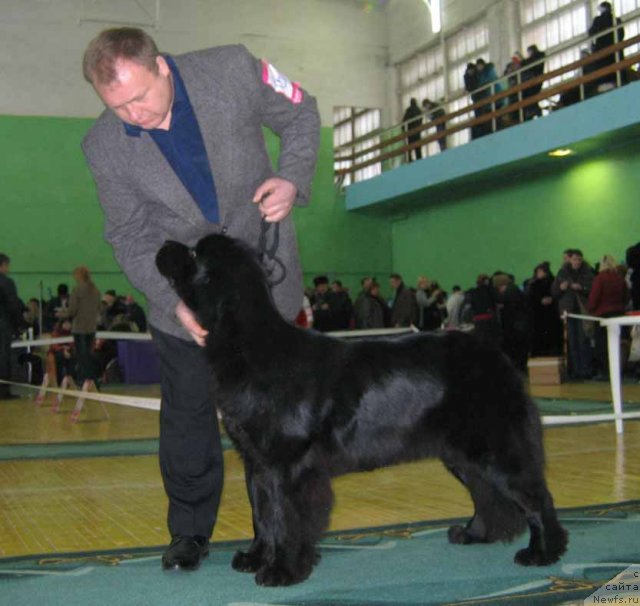 Фотография № 54057