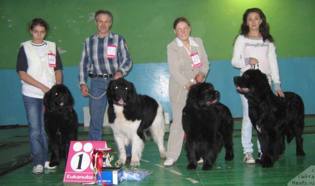 Фотография № 54063