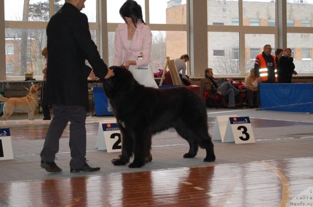 Фотография № 54085