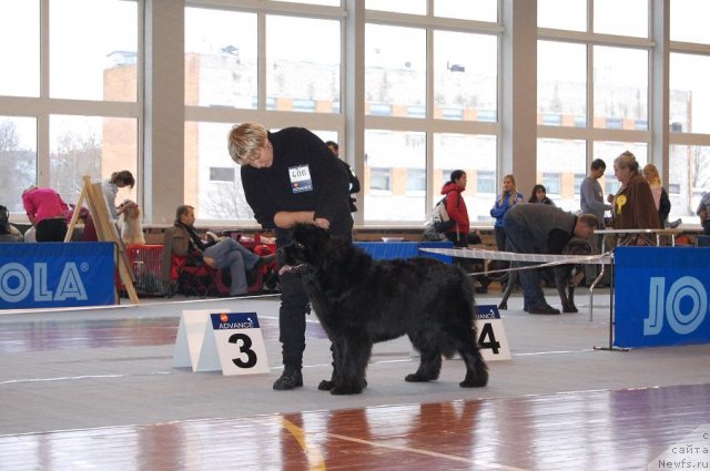 Фотография № 54087