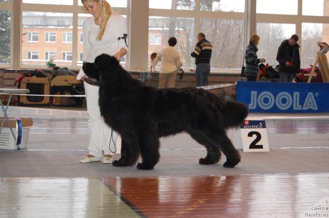 Фотография № 54089