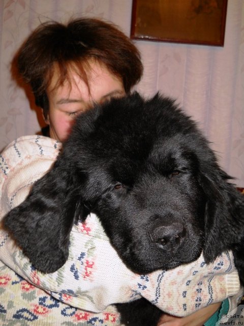 Фотография № 54093