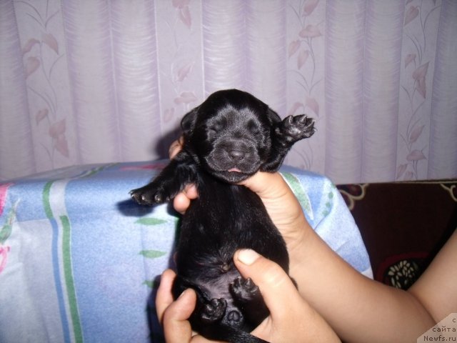 Фотография № 54094