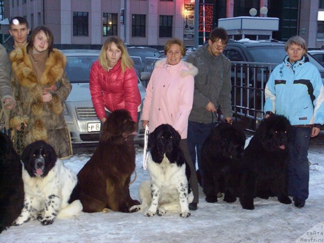 Фотография № 54097