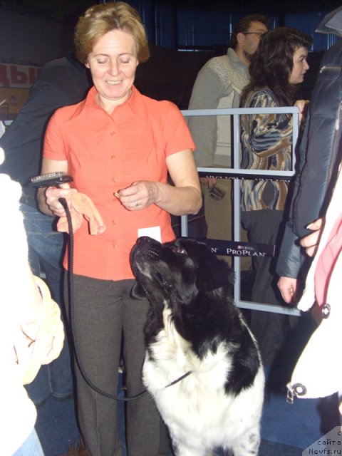 Фото: Марина Девятова, ньюфаундленд Кипер Соул Жемчужина Белая