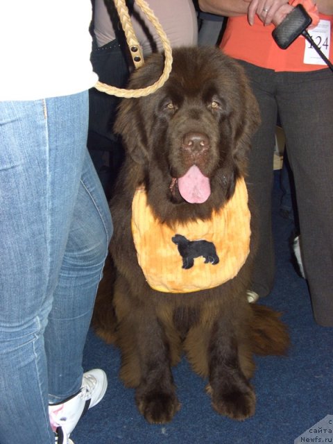 Фотография № 54101